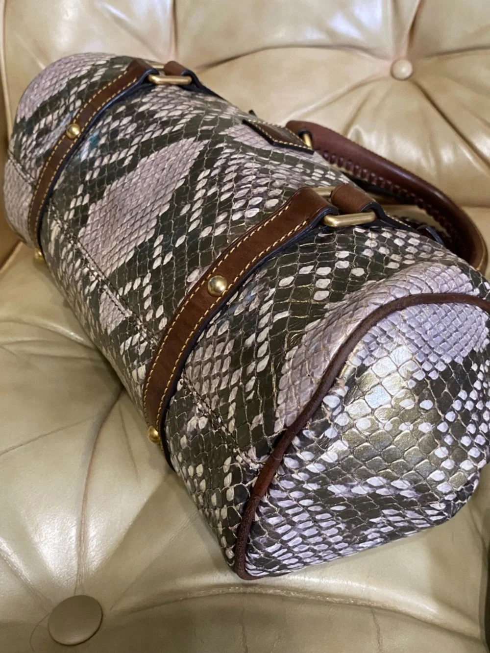 RARE Dooney & Bourke Python Satchel Florentine Gold/Green Leather - Picture 6 of 15